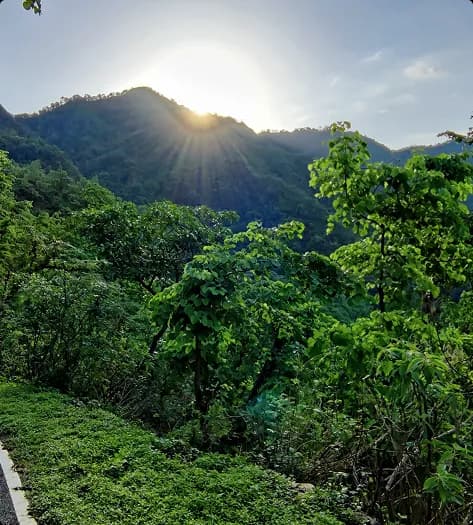 Interior bedroom with wooden furnishings